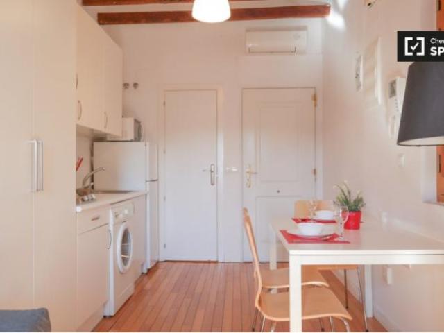Apartamentos 1 Dormitorio Madrid Madrid ES97132901