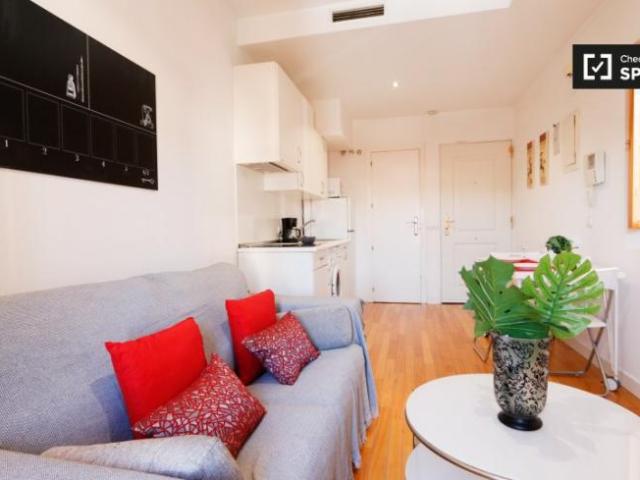 Apartamentos 1 Dormitorio Madrid Madrid ES97133106