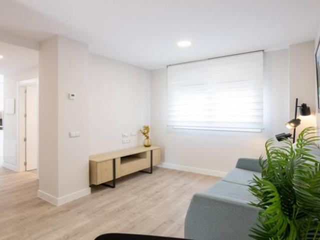Apartamentos 1 Dormitorio Madrid Madrid ES97272505