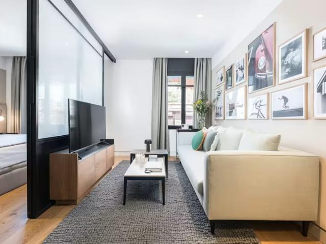 Apartamentos 1 Dormitorio Madrid Madrid ES97739565