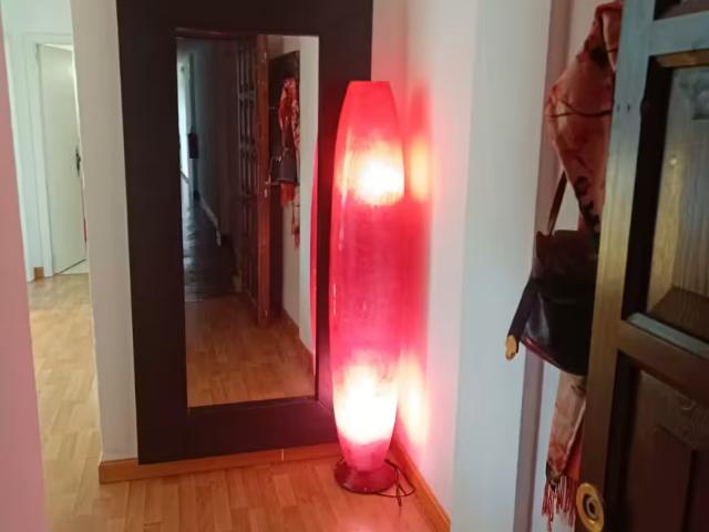 Apartamentos 1 Dormitorio Madrid Madrid ES98193464