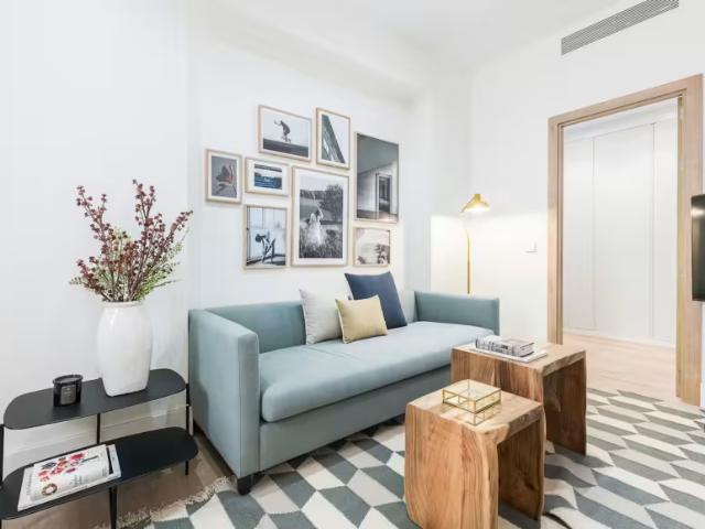 Apartamentos 1 Dormitorio Madrid Madrid ES98294156