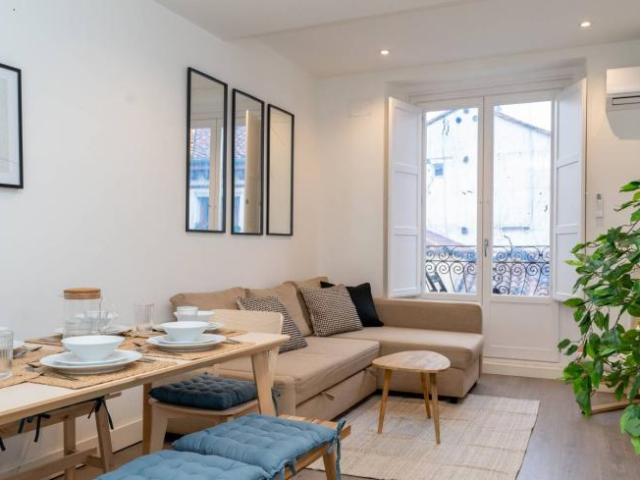 Apartamentos 1 Dormitorio Madrid Madrid ES98343713