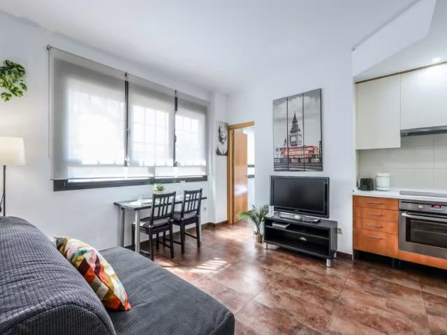 Apartamentos 1 Dormitorio Madrid Madrid ES98496143
