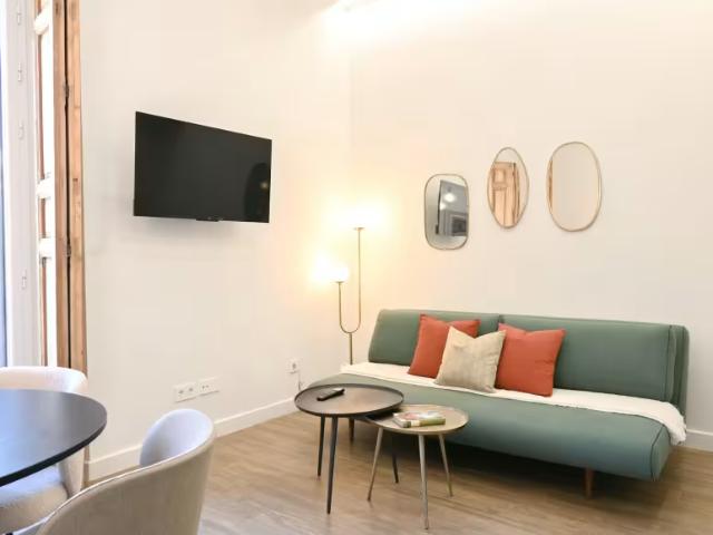 Apartamentos 1 Dormitorio Madrid Madrid ES98496498