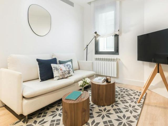 Apartamentos 1 Dormitorio Madrid Madrid ES99374481