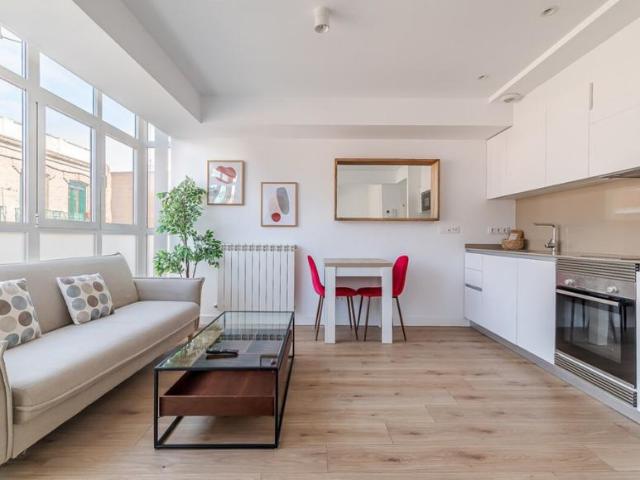 Apartamentos 1 Dormitorio Madrid Madrid ES99382195