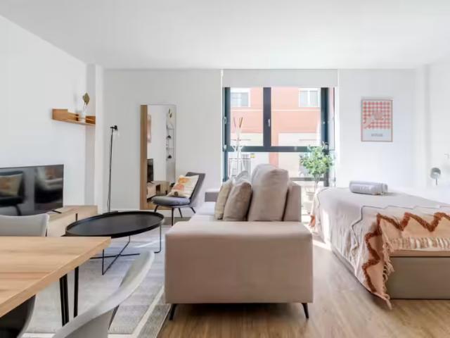 Apartamentos 1 Dormitorio Madrid Madrid ES99384198