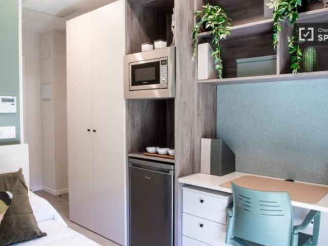 Apartamentos 1 Dormitorio Madrid Madrid ES99978783