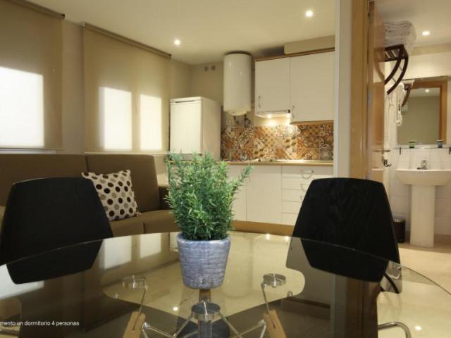 Apartamentos 1 Dormitorio Madrid Madrid ES100423265