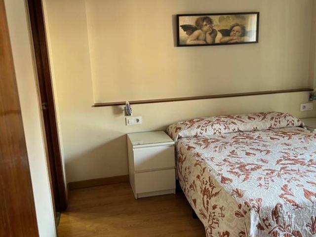 Apartamentos 1 Dormitorio Madrid Madrid ES100532780