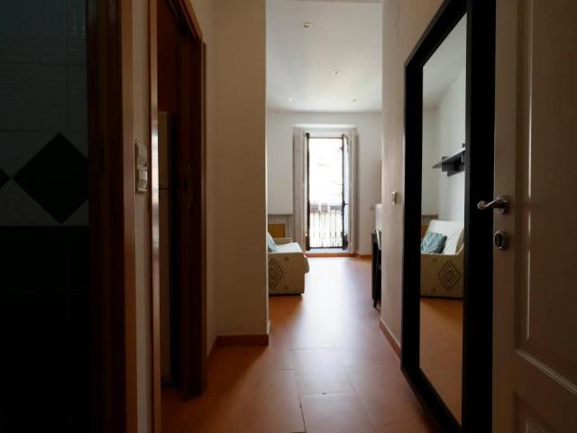 Apartamentos 1 Dormitorio Madrid Madrid ES100725598