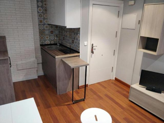Apartamentos 1 Dormitorio Madrid Madrid ES100728899