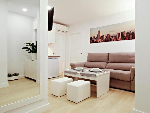 Apartamentos 1 Dormitorio Madrid Madrid ES100731053