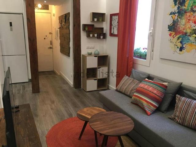 Apartamentos 1 Dormitorio Madrid Madrid ES100732370