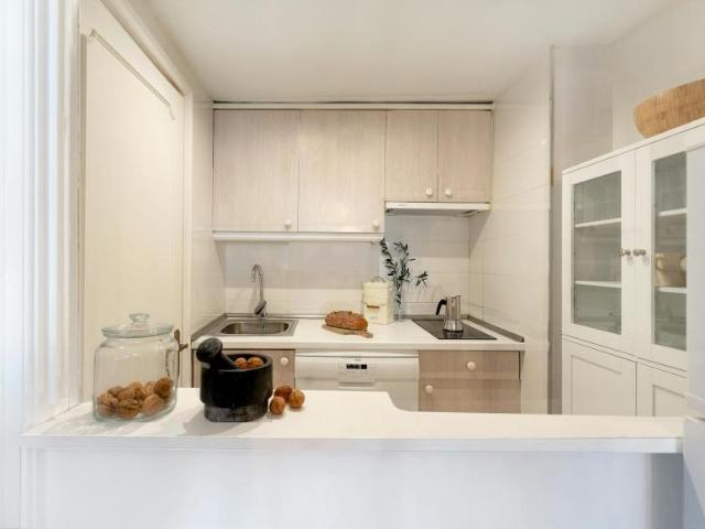 Apartamentos 1 Dormitorio Madrid Madrid ES100765057