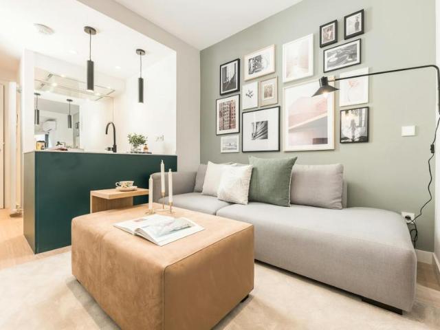 Apartamentos 1 Dormitorio Madrid Madrid ES100842846