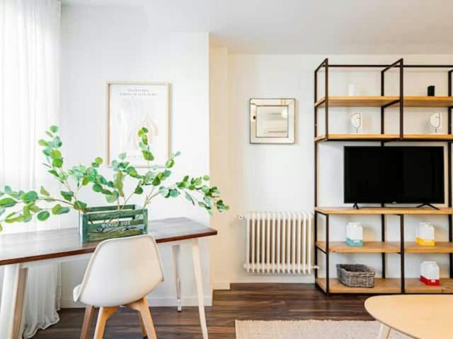 Apartamentos 1 Dormitorio Madrid Madrid ES100843092