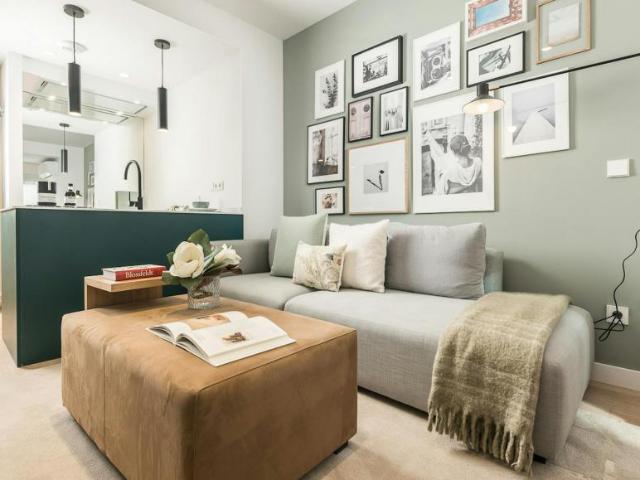 Apartamentos 1 Dormitorio Madrid Madrid ES100875103
