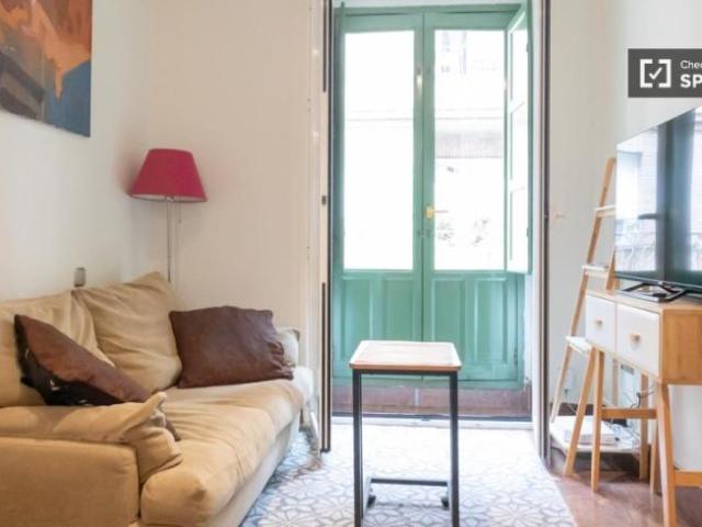 Apartamentos 1 Dormitorio Madrid Madrid ES100982022