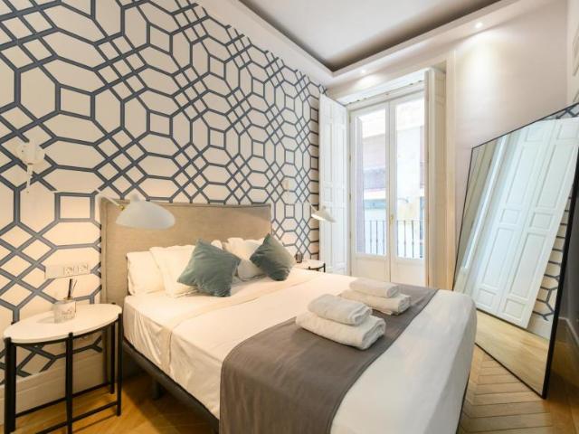 Apartamentos 1 Dormitorio Madrid Madrid ES100991513