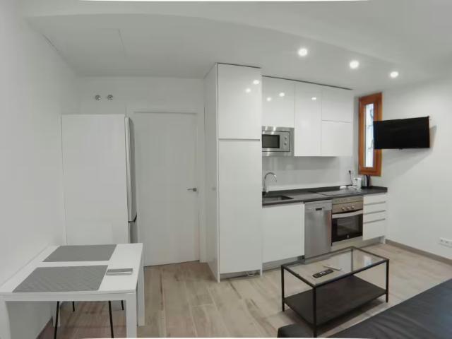 Apartamentos 1 Dormitorio Madrid Madrid ES100334350