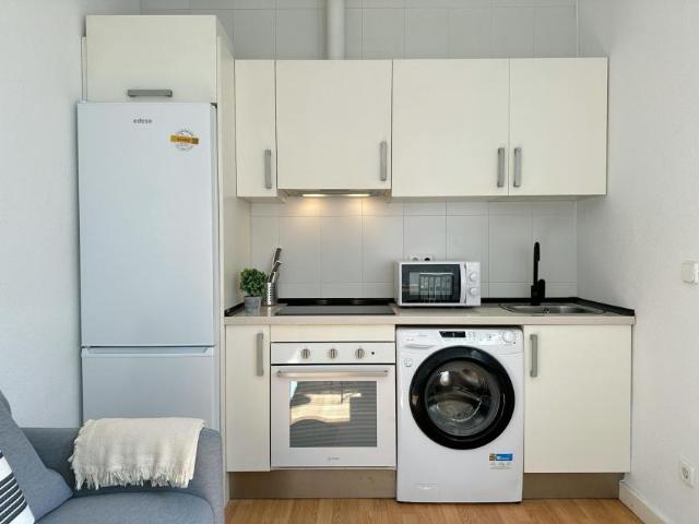 Apartamentos 1 Dormitorio Madrid Madrid ES101408066
