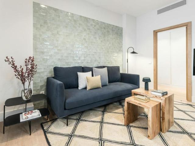 Apartamentos 1 Dormitorio Madrid Madrid ES101448954