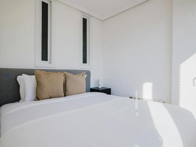 Apartamentos 1 Dormitorio Madrid Madrid ES101448254