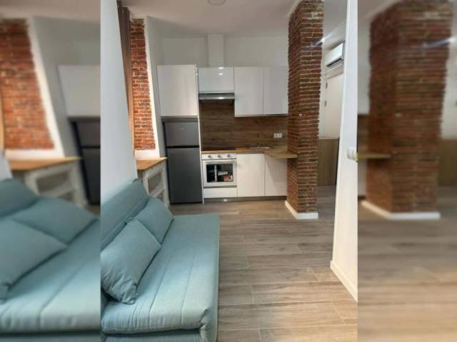 Apartamentos 1 Dormitorio Madrid Madrid ES101545241