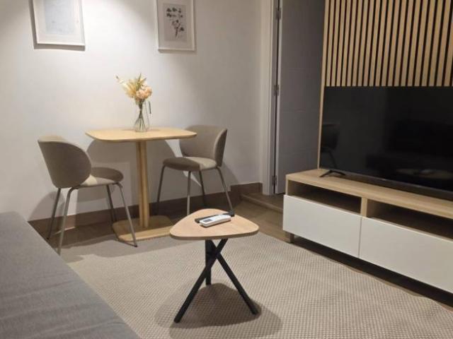 Apartamentos 1 Dormitorio Madrid Madrid ES101560873