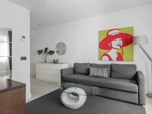 Apartamentos 1 Dormitorio Madrid Madrid ES101588105