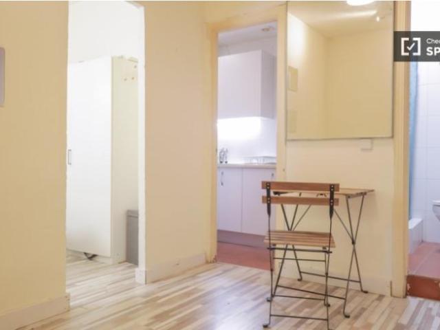 Apartamentos 1 Dormitorio Madrid Madrid ES101638273