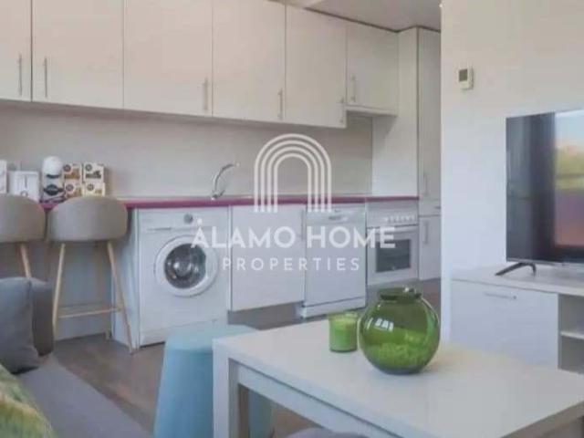 Apartamentos 1 Dormitorio Madrid Madrid ES101664544