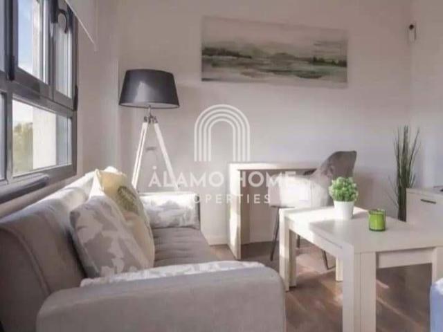 Apartamentos 1 Dormitorio Madrid Madrid ES101664545