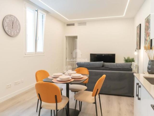 Apartamentos 1 Dormitorio Madrid Madrid ES101664548