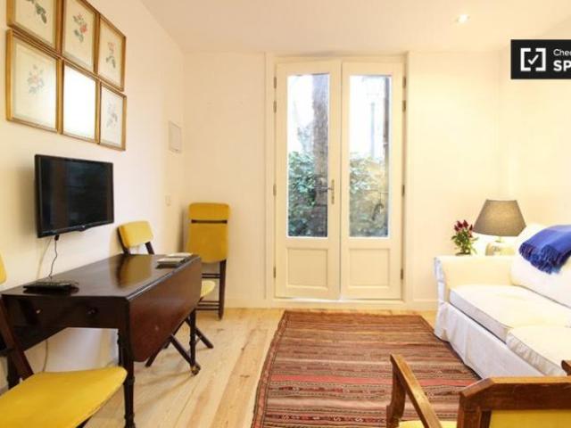 Apartamentos 1 Dormitorio Madrid Madrid ES101670689