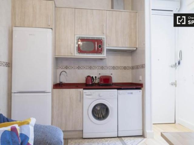 Apartamentos 1 Dormitorio Madrid Madrid ES101670834