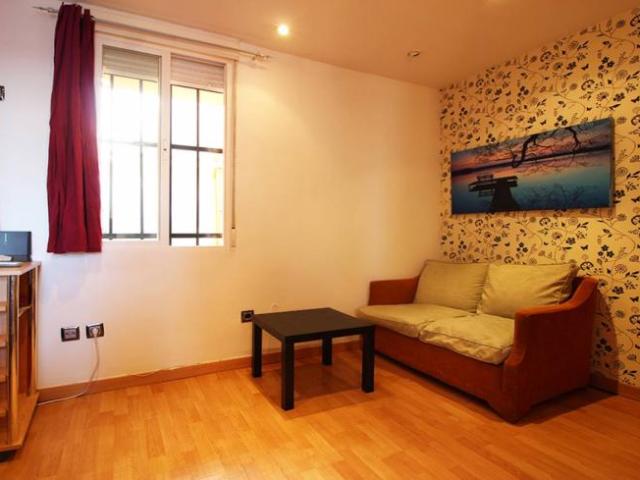 Apartamentos 1 Dormitorio Madrid Madrid ES101671913