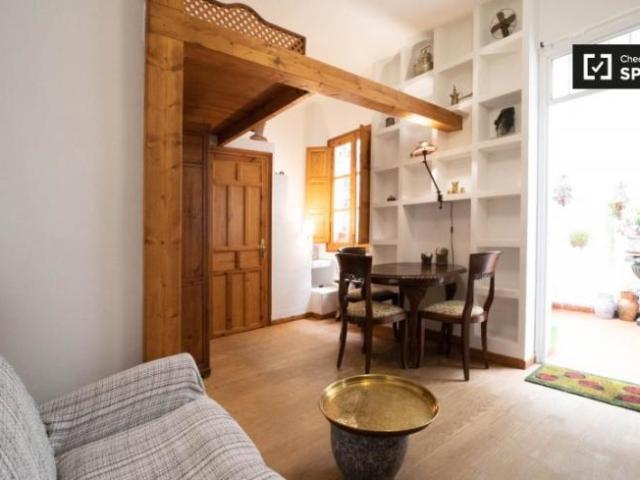 Apartamentos 1 Dormitorio Madrid Madrid ES101671923