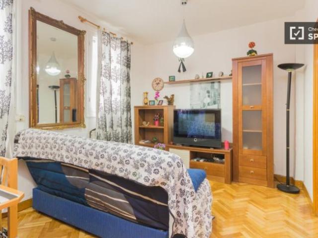 Apartamentos 1 Dormitorio Madrid Madrid ES101671993