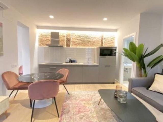 Apartamentos 1 Dormitorio Madrid Madrid ES101671251
