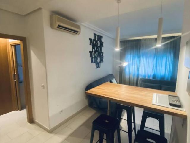 Apartamentos 1 Dormitorio Madrid Madrid ES101672113