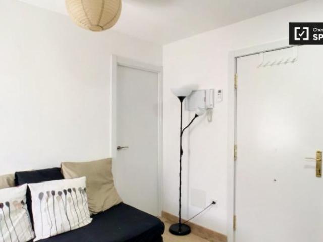 Apartamentos 1 Dormitorio Madrid Madrid ES101672250