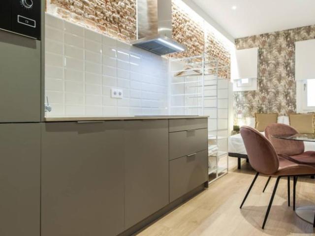 Apartamentos 1 Dormitorio Madrid Madrid ES101672356