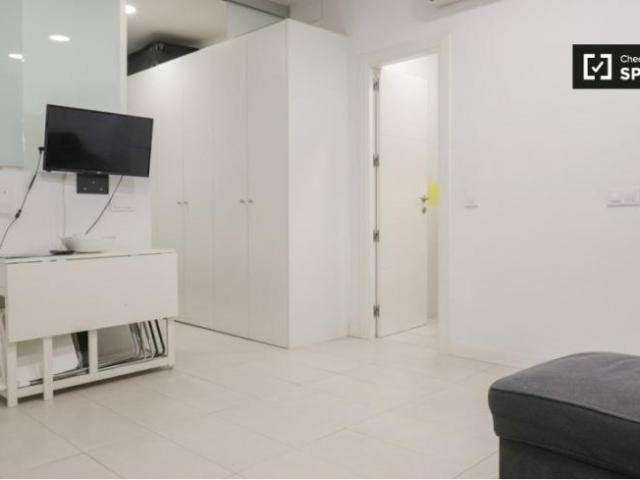 Apartamentos 1 Dormitorio Madrid Madrid ES101692636