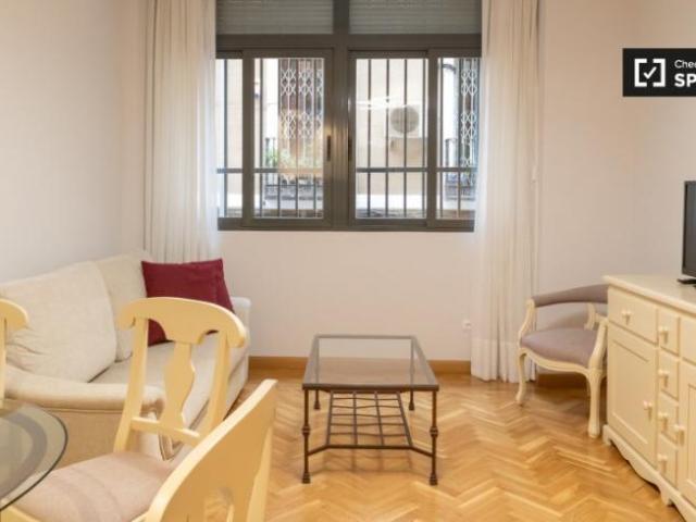 Apartamentos 1 Dormitorio Madrid Madrid ES101692651
