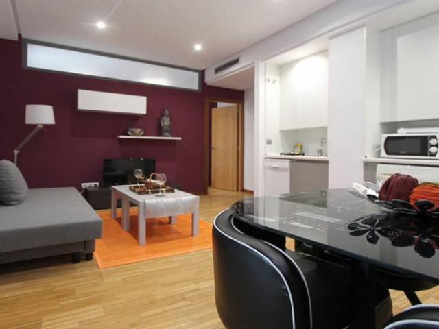 Apartamentos 1 Dormitorio Madrid Madrid ES101692750