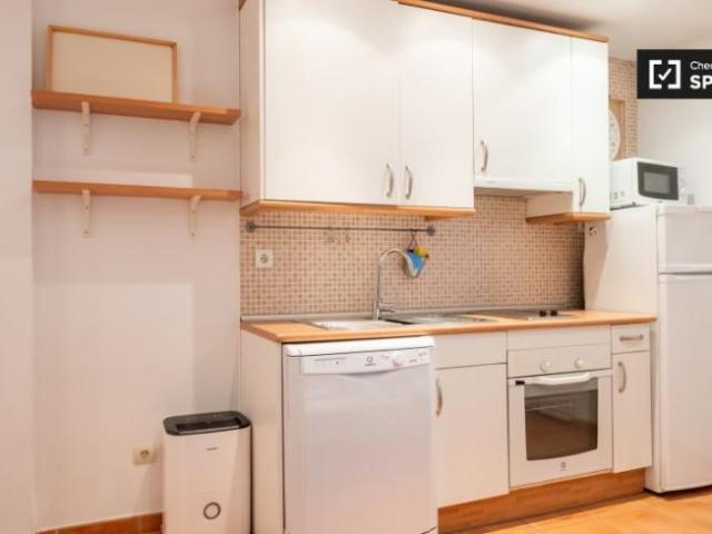 Apartamentos 1 Dormitorio Madrid Madrid ES101692981