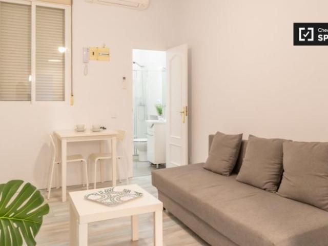 Apartamentos 1 Dormitorio Madrid Madrid ES101693917